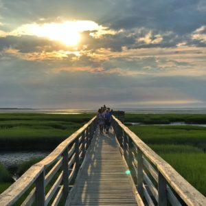 Gray's Beach