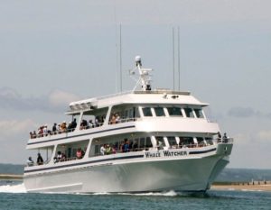 cruise ship on the ocean